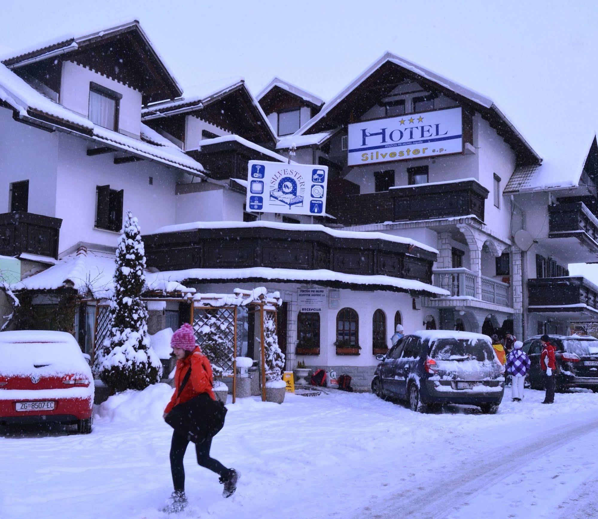 Hotel Silvester 戈雷尼斯卡地区采尔克列 外观 照片